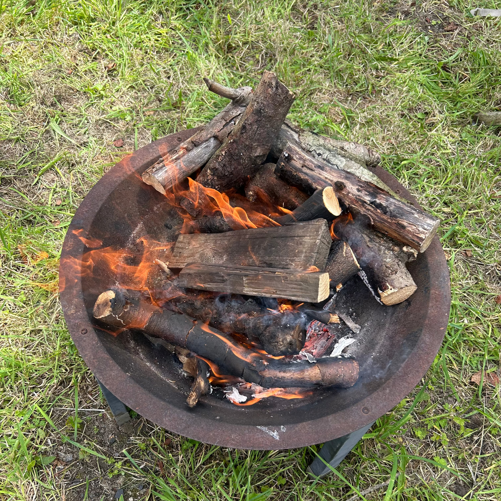Parent & Child Nature Walk & Bushcraft Session -