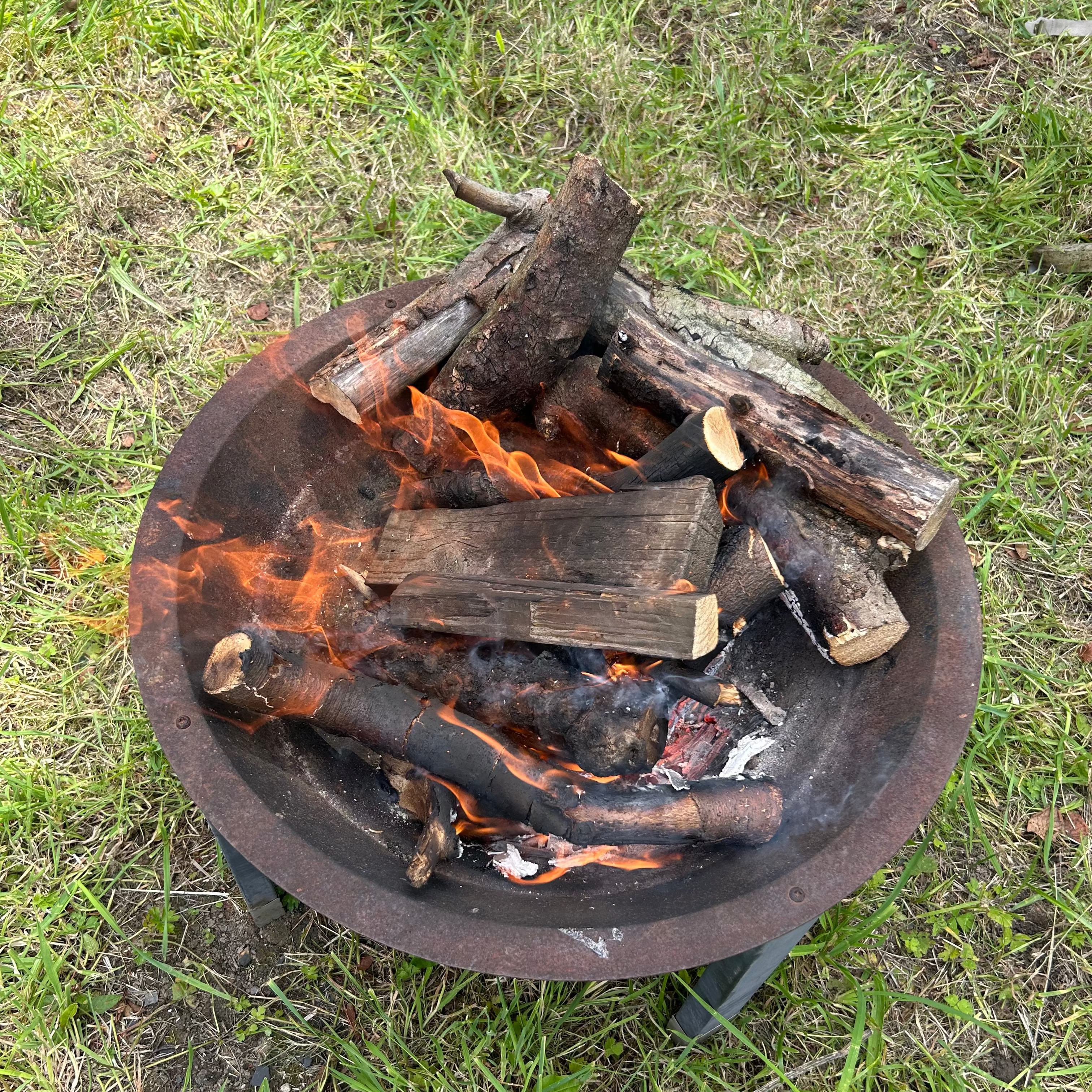 Parent & Child Nature Walk & Bushcraft Session -